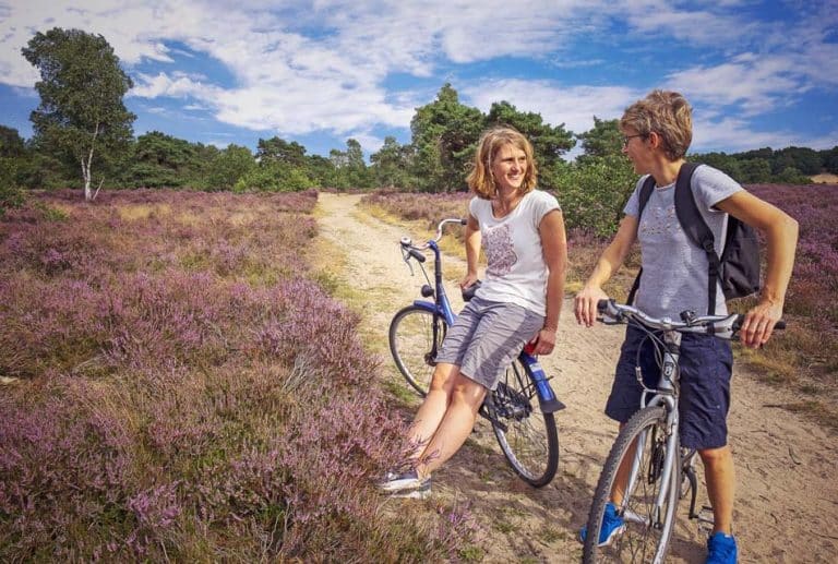 Case study Veluwe Lodges Otterlo verhuur vakantiewoningen nieuwe website