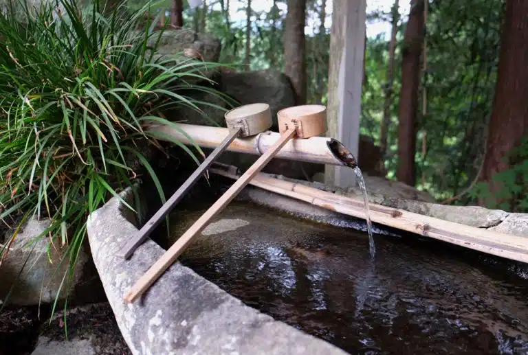 Wat heb je nu eigenlijk aan een webdesigner, vijf concrete tips