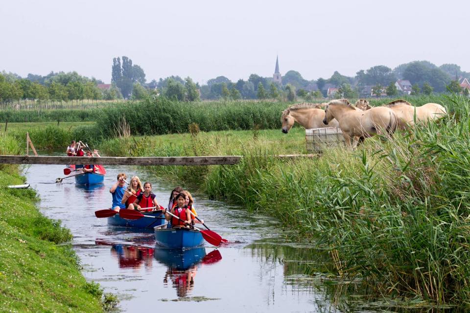 De Kleine Duiker portfolio Design Dojo